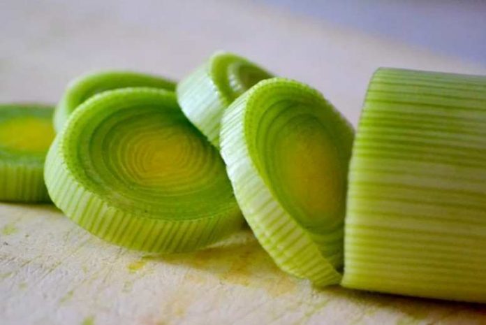 Leek Substitute