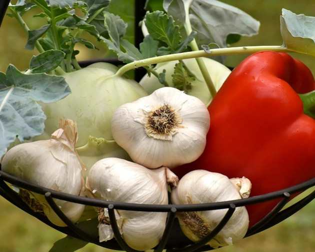 How Many Carbs In Garlic.