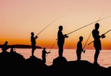 Best Surf Fishing Rod: How to Choose the Right One for You Best Surf Fishing Rod